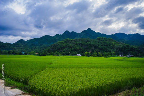 Green rice field and mountains, Mai Chau Valley, Vietnam, Southeast Asia.