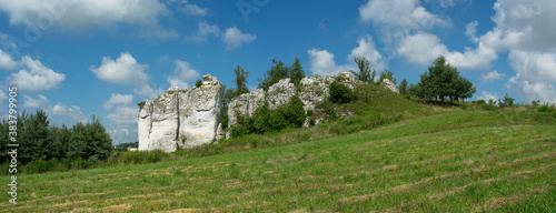 Wapienne skały. Jura Krakowsko-Częstochowska. Park krajobrazowy Dolinki Krakowskie. Panorama.