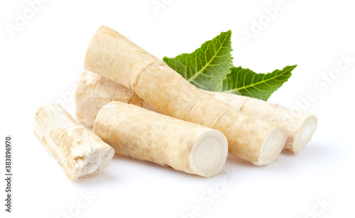 Horseradish root with leaves in closeup