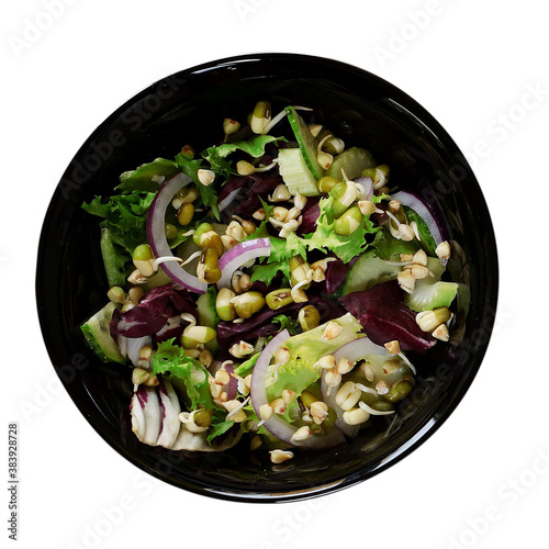 salad plate of fresh green cucumbers, celery, lettuce, red purple onions, raw buckwheat green sprouts, sprouted mung bean on a white background vegan food concept Salad with vegetables and greens