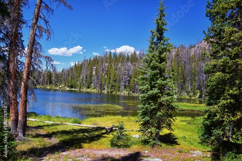 Lake Cuberant hiking trail views of ponds, forest and meadows around Bald Mountain Mount Marsell in Uinta Mountains from Pass Lake Trailhead, Utah, United States.