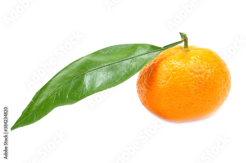 Mandarin orange on a white background