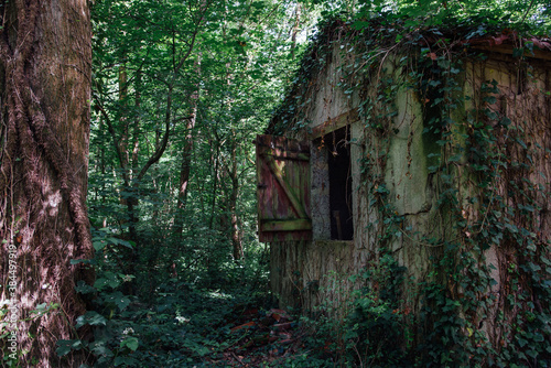 une maison abandonnée dans la forêt. une cabane de l'horreur dans les bois. Une vieille maison abandonnée couverte de lierre dans la forêt