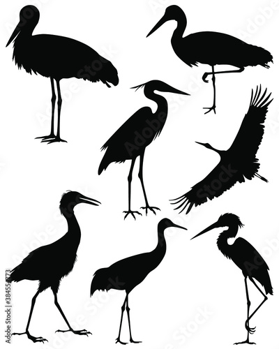 Collection silhouettes of birds. Set of black isolated silhouettes of birds. Set of stork. Vector illustration. 