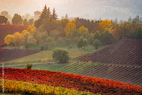 Autumn landscape, vineyards and hills at sunset. Modena, Italy