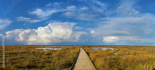 panorama of vivid blue sky with different kinds of clouds over the boardwalk at Langwarder Groden at the North Sea coast (Germany) on a sunny autumn day