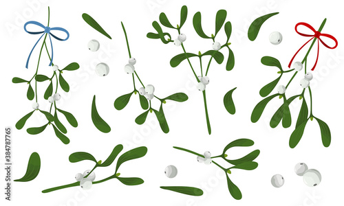 Set of Mistletoe (Viscum) branches with white berries and ribbons. Christmas tradition Kissing bough. Vector illustration isolated on white. Flat cartoon design. For cards, poster, banner, invitation.