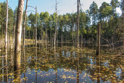 The pits were flooded with water from the iron mine that was sunk a hundred years ago.