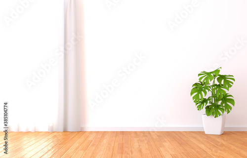 Green plant in the sunny white room. 3D rendering