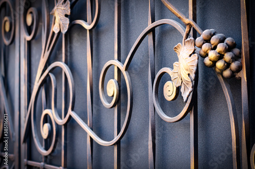 Decoration forged elements of metal gates. Shod fruits and leaves of grapes. Elite gates