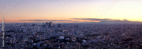 新宿副都心と富士山の落日（2009年11月撮影）