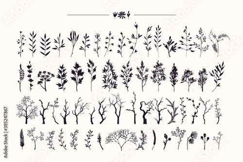 Tree branches, herbs, plants silhouettes made with ink. Hand drawn clipart illustration collection of rustic, floral design elements. Wood twigs, sticks, forest, flowers, leaves. Isolated vector set.