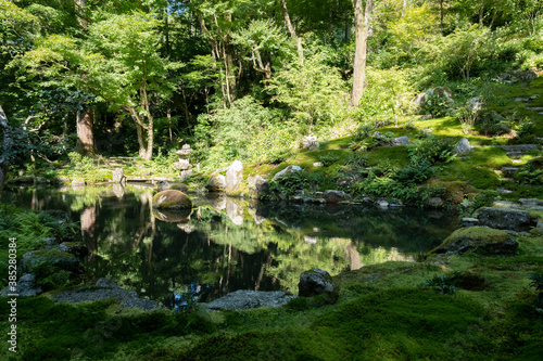 A Japanese garden with a mysterious atmosphere surrounded by moss