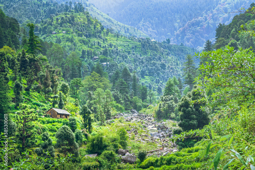 View enroute to Prashar Lake trekk trail. It is located at a height of 2730 m above sea level surrounded by confierous & alpine meadow in lesser himalayas near Mandi, Himachal Pradesh, India.