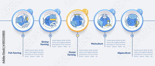 Aquaculture vector infographic template. Sea food farm types presentation design elements. Data visualization with 5 steps. Process timeline chart. Workflow layout with linear icons