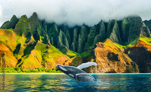 Whale watching sunset cruise tour at Na Pali Coast, Kauai island, Hawaii travel destination. Amazing breaching humpback whale from water at Napali mountains landscape.