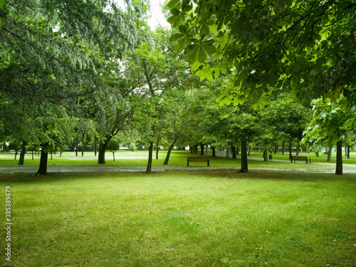 Parque verde urbano con distintas especies de árboles y bancos