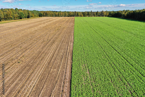 Aerial view of a field, half of which is uncultivated and covered with young green plants, strip of forest on the horizon, abstract