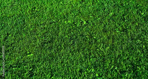 Green grass background in football stadion - soccer pitch