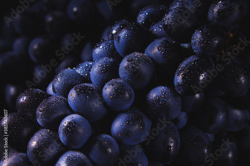 Dark grapes close-up with water drops. Horizontal macro.
