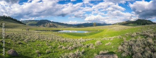 lamar valley in yellowstone national park,wyoming in the usa