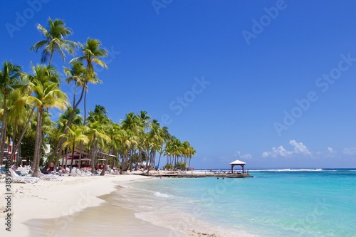 White sand beach with palm trees and tropical turquoise sea water, Guadeloupe, French Antilles 