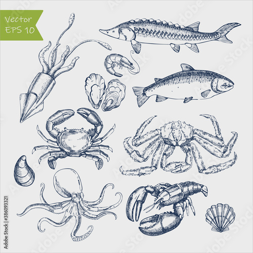 Seafood big set. Ink sketch isolated on white background. Hand drawn vector illustration.