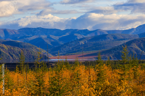 The nature of the Magadan region. Bright low hills in the tundra, covered with grass and colorful trees. Russian tundra