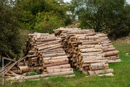 Fortswirtschaft: Mehrere Haufen mit gestapeltem Holz / Brennholz auf einem Holzplatz