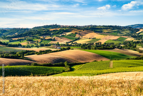 Countryside, landscape and cultivated fields. Marche, Italy