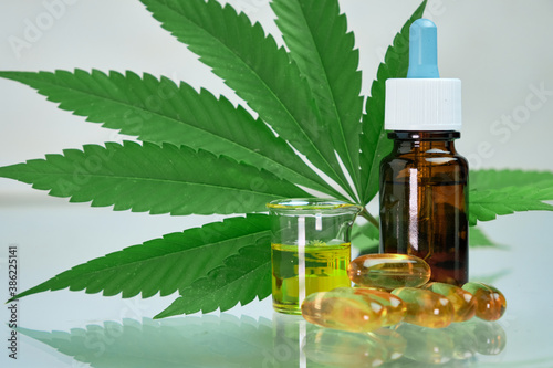 Cannabis hemp oil CBD in a capsules or pills and bottle laying on the fresh green marijuana leaf on the blue background with copy space. Extraction of cannabinoids for alternative medicine. Cosmetics