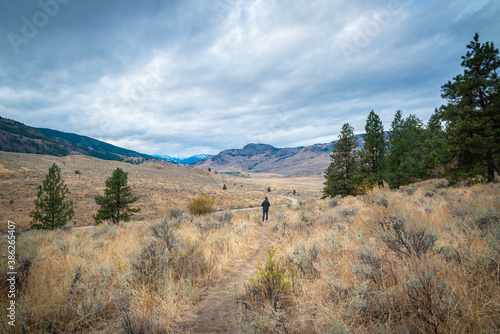 Man standing on hiking trail in grasslands, looking at distant snow-capped mountains