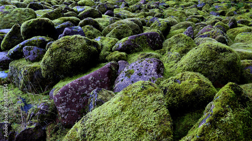 Rocks with moss