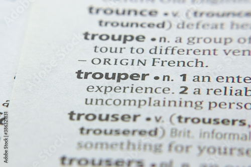 Word or phrase Trouper in a dictionary.