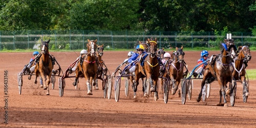 horse racing hippodrome of feurs