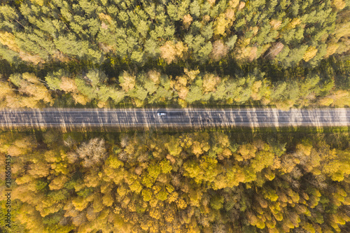 The straight road goes thru a forest in autumn colours. Top-down view. One white car.