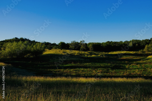 Rural Texas landscape with green grass and blue sky.