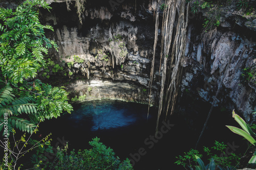 Oxman cenote with blue water and roots growing into the cave, Yucatan, Mexico