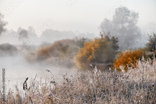 Foggy autumn morning by the river. grass covered with hoarfrost and cobwebs on the shore. soft selection focus.