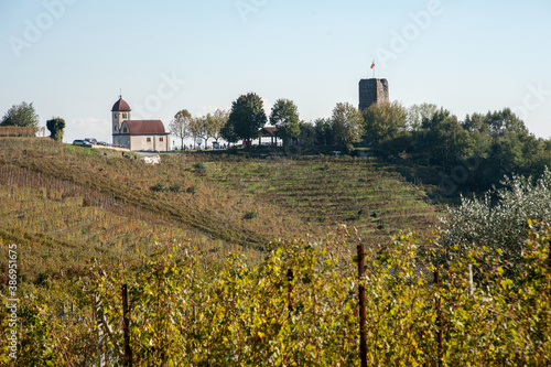 vigneti nelle colline di Gattinara