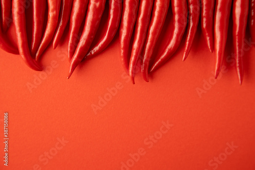 spicy red chili pepper on red background