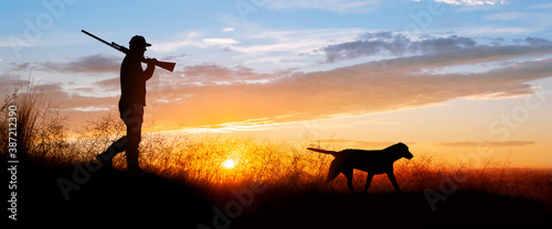 A chocolate (brown) Labrador retriever out hunting for pheasants.