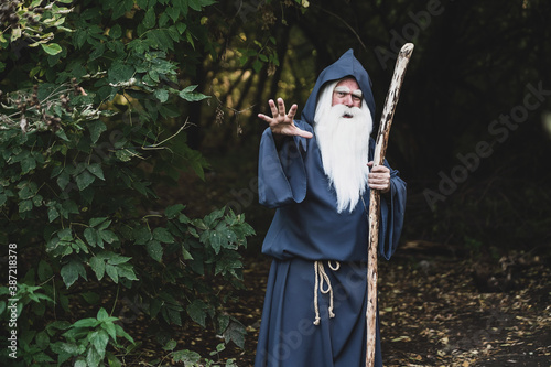 A wizard with a long gray beard casts a spell in a dense forest