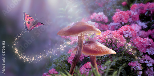 Fantasy Magical Mushrooms and Butterfly in enchanted Fairy Tale dreamy elf Forest with fabulous Fairytale blooming pink Rose Flower on mysterious Nature background and shiny glowing moon rays in night