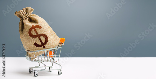 Dollar money bag on a shopping cart. Profits and super profits. Loans and microloans. Minimum living wage. Consumer basket. Business and trade concept. Public procurement, budgeting. Economic bubbles