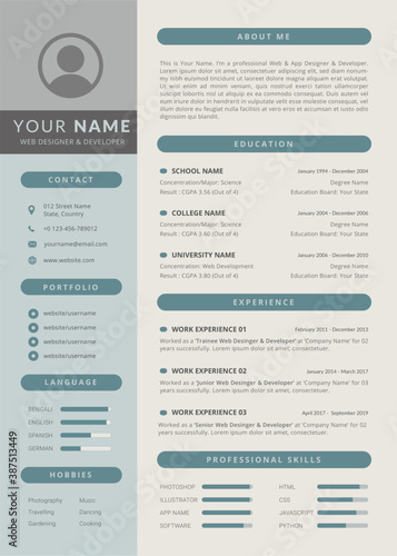 Modern professional resume cv template. Curriculum Vitae Template