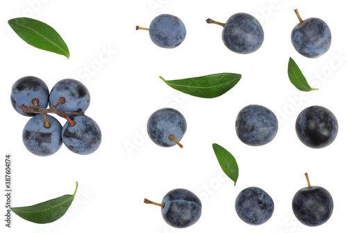 The fruits of blackthorns isolated on white, top view
