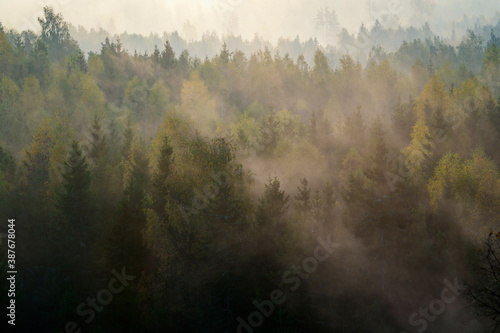 Beautiful colourful sunrise over thick forest with mist during autumn.
