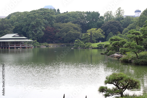 彼女へ告白した庭園