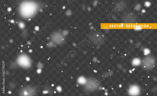 Falling white glare of snow isolated on transparent background. Texture winter snowflakes. Light effect white. vector illustration